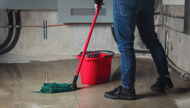 Best Flood damage cleanup  in Limon, CO