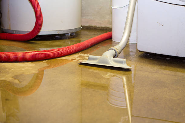 Best Ceiling water damage repair  in Limon, CO