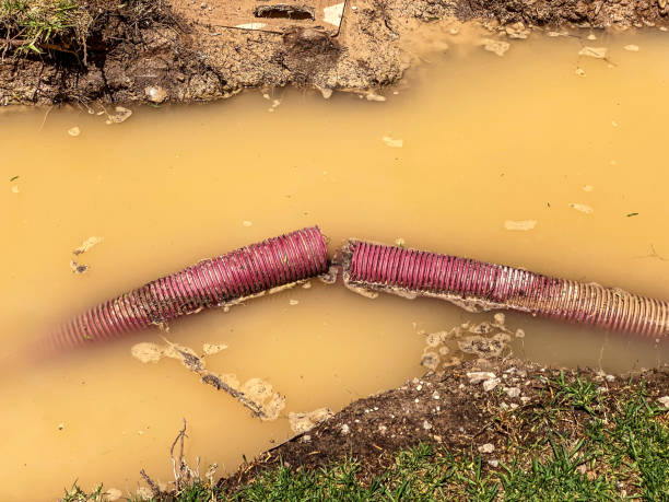 Best Water damage restoration near me  in Limon, CO