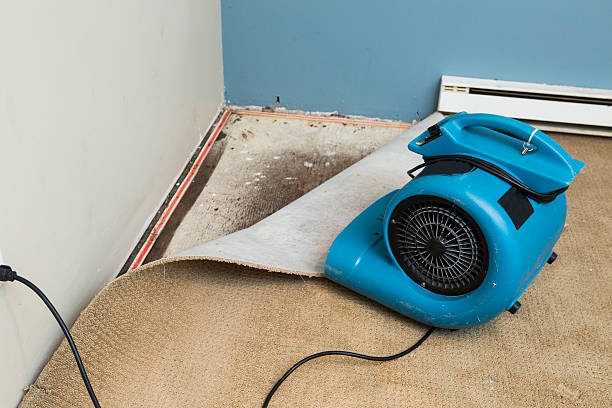 Best Carpet water damage restoration  in Limon, CO